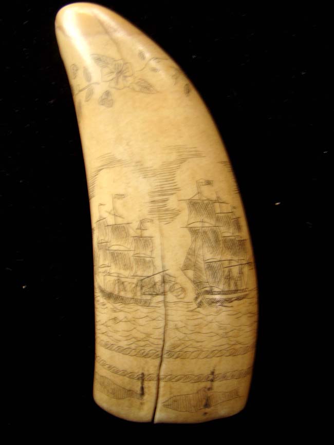 A late 19th or early 20th century whale's tooth with whaling motif. — image 5